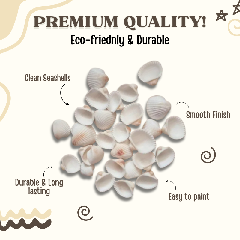 Shell Art Kit