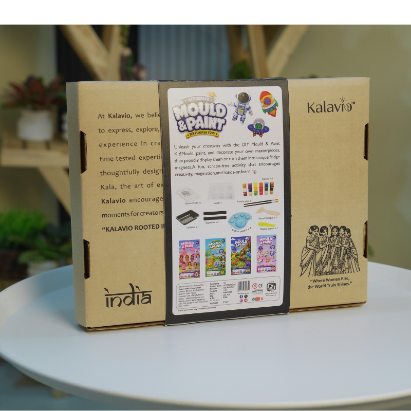 Mould and Paint DIY Kit ( Aerospace )