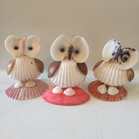Decorative shell art craft kit with colourful seashells and DIY materials